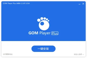 视频播放器 | GOM Player Plus（2.3.93.5363）-软件工具箱