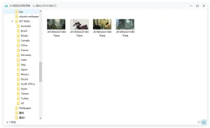 360看图 精简版 | 360PicBrowser（1.0.0.1080）-软件工具箱