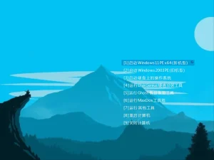 CowPE 23H2 龙年新春维护版（1.2.5）-软件工具箱