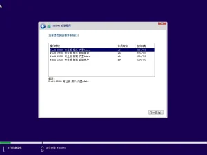 Win11 21h2 22000.3019 4in1 x64 – OlSoul 2024.7.3-软件工具箱