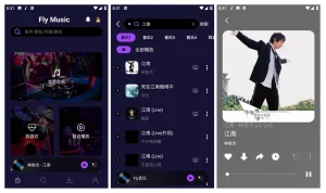 免费音乐APP Fly音乐 | FlyMusic（1.2.5）-软件工具箱