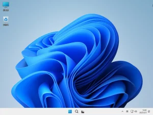 Windows 11 LTSC 优化版 – placeholder(2025.03.27)-软件工具箱