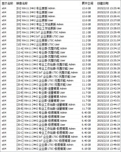 Win11 24H2 (26100.3909)-38in1 – TWM000【2025.04】-软件工具箱