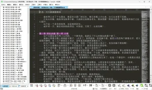 小说排版助手（v241025）-软件工具箱