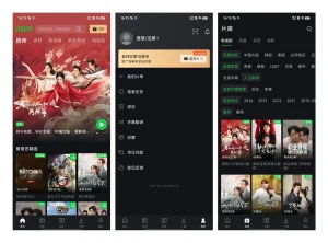 爱奇艺 APP 谷歌商店版（7.3.6(714672)）-软件工具箱