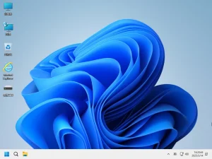 Windows 11 24H2 Pro 26100 4770 二合一 轻度精简版 – 小修 [1.79G]-软件工具箱