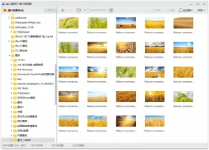可以当作2345看图王纯净版使用 | 蓝山看图 (v1.0.3.21021)-软件工具箱