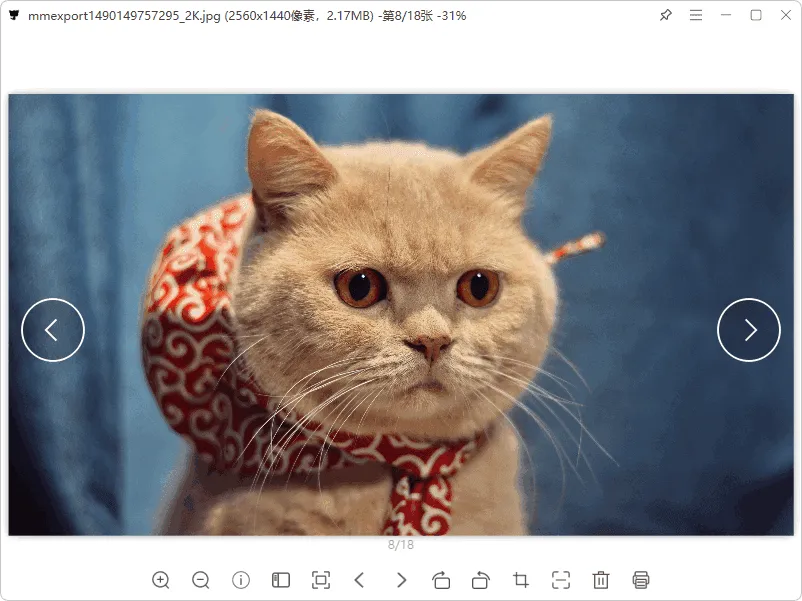 图片[1]-软件工具箱