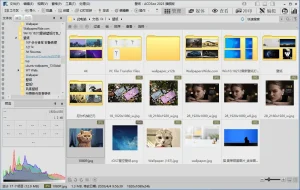 ACDSee 旗舰精简版 | ACDSee Ultimate、ACDSee Pro (v19.0.0.4366)-软件工具箱
