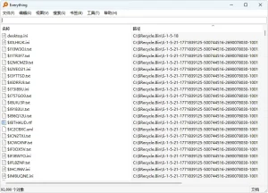 快速搜索软件 Everything 自适应安装版（v1.4.1.1032）-软件工具箱