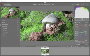 摄影图片管理编辑软件 | darktable（v5.4.1）-软件工具箱