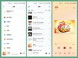 安卓本地音乐APP | 椒盐音乐 Salt Player（v11.1.0）-软件工具箱