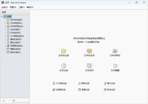 文件对比软件 | Beyond Compare （v5.2.2.32209）-软件工具箱