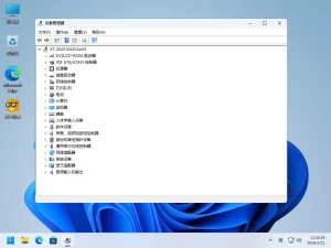 系统玩家 Win11 23H2 优化版-软件工具箱