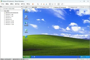 虚拟机软件 | VMware Workstation 精简汉化版（v26H1 25388281）-软件工具箱