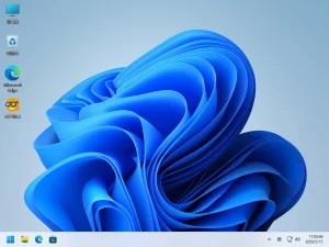 系统玩家 Win11 25H2 优化版-软件工具箱