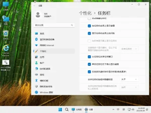Windows 11 Pro 23H2/24H2/25H2/26H1 二合一 轻度精简版 – 小修 (2026.05.14)-软件工具箱