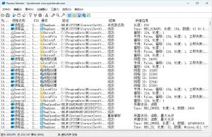 系统进程监视工具 | Process Monitor 汉化版（v4.02）-软件工具箱