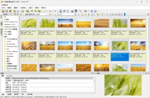 图片浏览查看工具 | XnView MP（v1.11.2.0）-软件工具箱