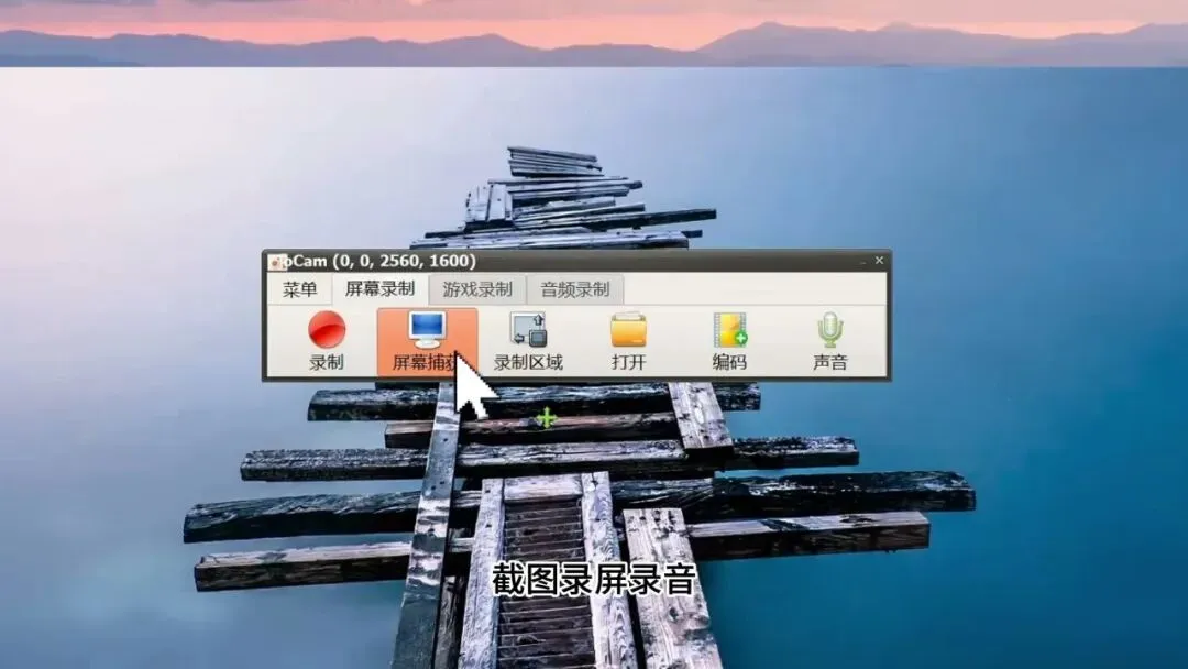 图片[3]-软件工具箱
